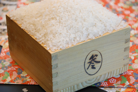 地元産　コシヒカリ