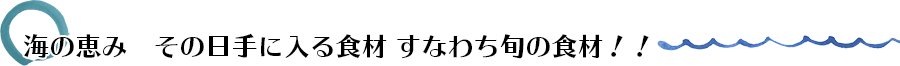海の恵み　その日手に入る食材　すなわち旬の食材！！