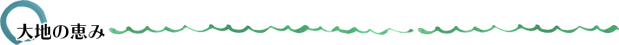 大地の恵み