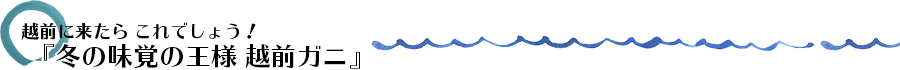 越前に来たらこれでしょう！『冬の味覚の王様越前ガニ』
