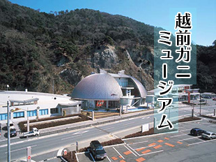 越前ガニミュージアム