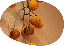 客冬季：コーヒーセルフサービス